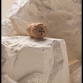 Secondery lanson-nobel-cork.jpg
