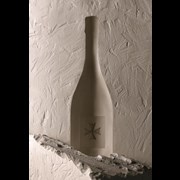 Secondery lanson-nobel-life.jpg