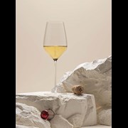 Secondery lanson-noble-cuvee-vintage-glass.jpg