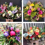 Secondery large-brights2.jpg