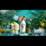 Secondery malibu-original-white-rum-life1.jpg