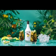 Secondery malibu-original-white-rum-life2.jpg