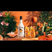 Secondery malibu-original-white-rum-life3.jpg