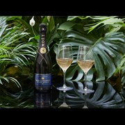 Secondery moet-nectar-life1.jpg