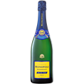 Secondery monipol-blue-3.png