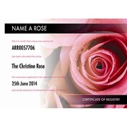 Secondery name-a-rosde.jpg