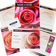 Secondery name-a-rose-2.jpg