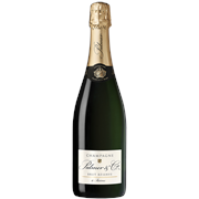 Secondery palmer-brut.png