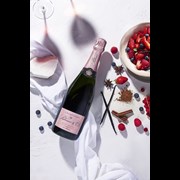 Secondery palmer-rose-solera-rvb.jpg