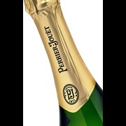 Secondery pj-grand-brut-neck.jpg