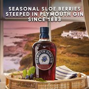 Secondery plymouth-sloe-gin-life-2.jpg
