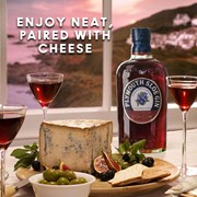 Secondery plymouth-sloe-gin-life-4.jpg