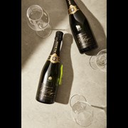 Secondery pol-roger-brut-vint-lift.jpg