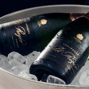 Secondery pol-roger-brut-vintage-ice-copy.jpg