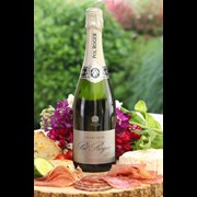 Secondery pol-roger-pure-extra-brut-life.jpg