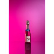 Secondery pommery-pop-rose-pink.jpg