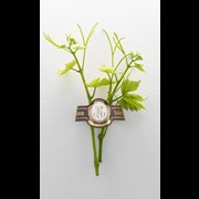 Secondery push03-collection243.jpg