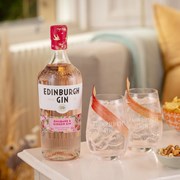 Secondery rhubarb_ginger_gin_11_1.jpg