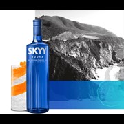 Secondery skyy_vodka_3.jpg