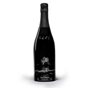 Secondery taittinger-collection-salgado-2008.jpg