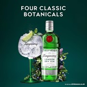 Secondery tanqueray-london-dry-gin-life.jpg
