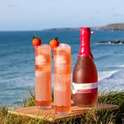 Secondery tarquins-strawberry-and-lime-gin-life1.jpg
