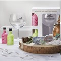 Secondery the-lakes-distillery-balloon-glass-gift-pack-with-lakes-gin-liqueurs-p264-883_image.jpg