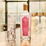 Secondery the-lakes-pink-grapefruit-gin-p331-1337_image.jpg
