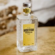 Secondery tropical-gin-on-table.jpg
