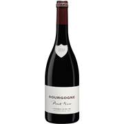 Secondery vignerons-de-bel-air-bourgogne-pinot-noir-bottle.png