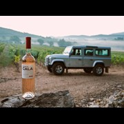 Secondery vins-roses-prestige-domaine-de-cala.jpg