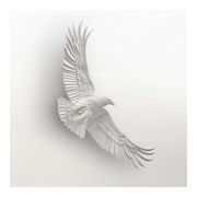 Secondery volar-charitable-prize-draw-p412-2049_image.jpg