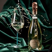 Secondery zonin_Special_Cuvee_Millesimato_life.jpg