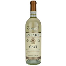 Buy & Send Antario Gavi 75cl - Italian White Wine