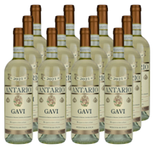 Buy & Send Case of 12 Antario Gavi 75cl White Wine