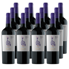 Buy & Send Case of 12 Las Perdices Chac Chac Malbec 75cl Red Wine
