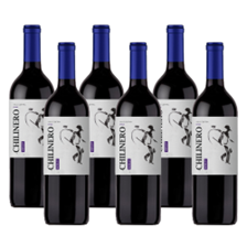 Buy & Send Case of 6 Chilinero Merlot 75cl Red Wine Wine