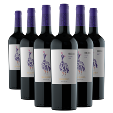 Buy & Send Wine Case of 6 Las Perdices Chac Chac Malbec 75cl Red Wine