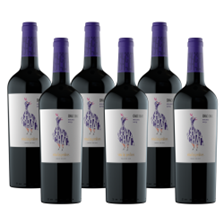 Buy & Send Case of 6 Las Perdices Chac Chac Malbec 75cl Red Wine