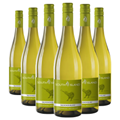 Buy & Send Wine Case of 6 South Island Sauvignon Blanc 75cl White Wine