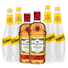 Buy & Send Case of 6 with Tanqueray Flor De Sevilla Gin 70cl and Tonic Mixer