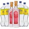 Buy & Send Case of 6 with The Lakes Pink Grapefruit Gin 70cl and Lemonade Mixer