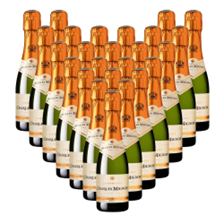 Mini Champagne Bottles - 24 pack – Gifts for Good