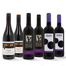 Buy & Send Surprise Red Wine Case of 6