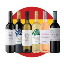 Buy & Send Experience Spain Wine Case of 6