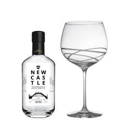 Buy & Send Newcastle Gin 70cl And Single Gin and Tonic Skye Copa Glass