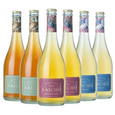 Buy & Send Saicho Sparkling Tea Case of 6