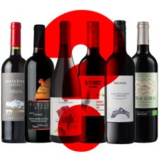 Buy & Send Surprise Red Wine Case of 6